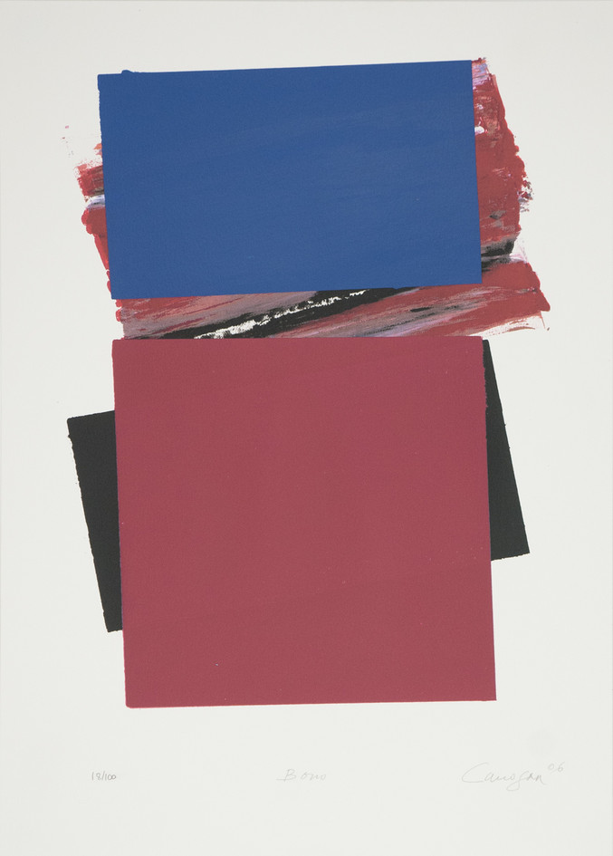 Rafael Canogar | Bono