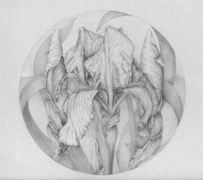 Marta Chirino | Delilium III