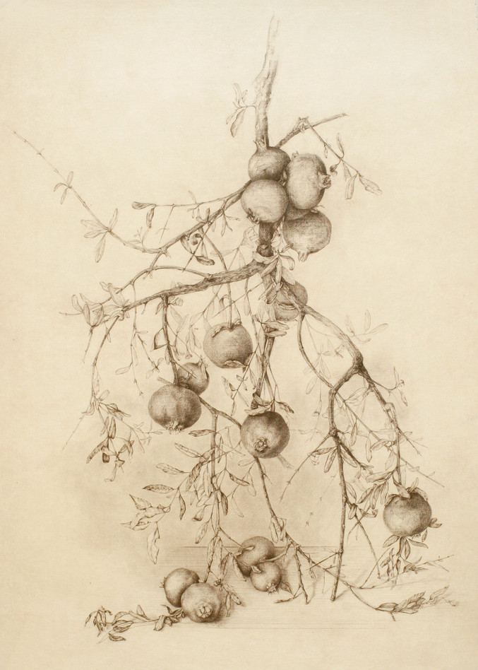 Marta Chirino | Ramas de granado