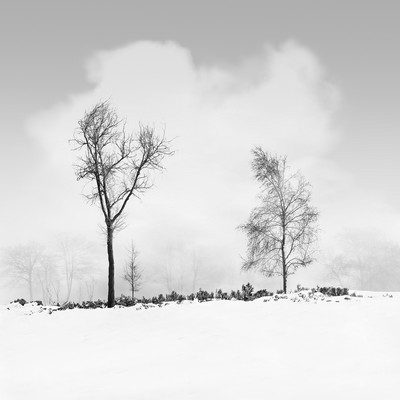 Andy Sotiriou | Snowscape 14