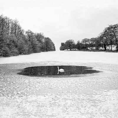 Andy Sotiriou | Snowscape 02