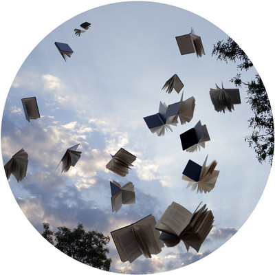 Leticia Felgueroso | Libros