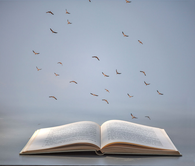 Leticia Felgueroso | Lectura