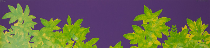 Paco Lagares | Seto sobre violeta II