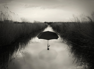 César Blay | El avestruz