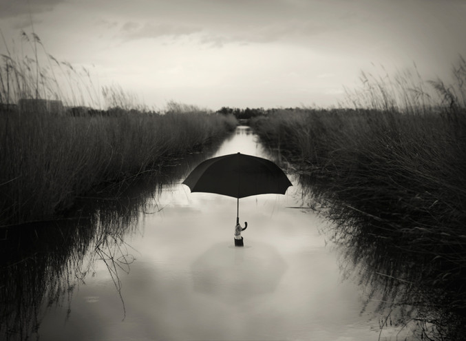 César Blay | El avestruz