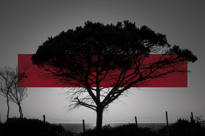 Ely Sánchez | Serie Heridos_01