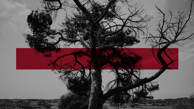 Ely Sánchez | Serie Heridos_02