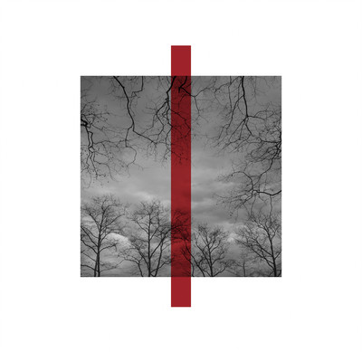 Ely Sánchez | Serie Heridos_06