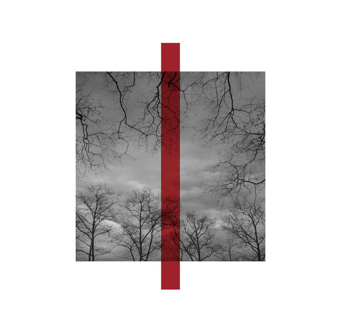 Ely Sánchez | Serie Heridos_06