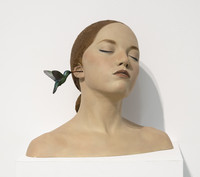 Gerard Mas | Ornitóloga