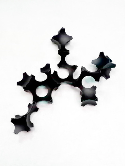 Diego Canogar | Tetramorfo biforma