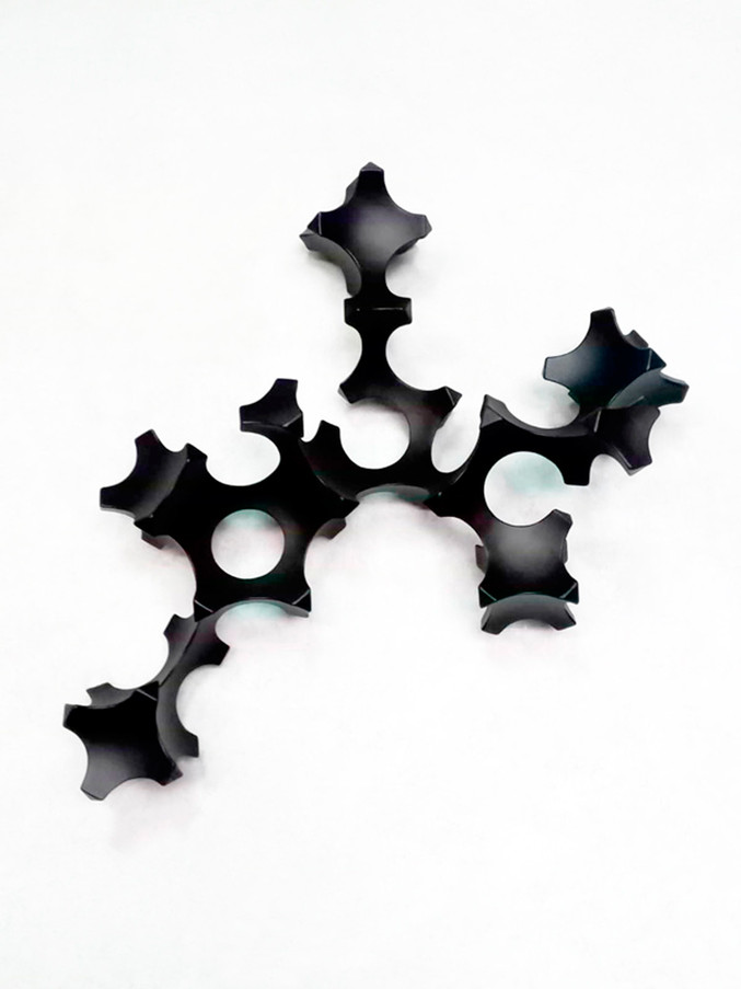 Diego Canogar | Tetramorfo biforma