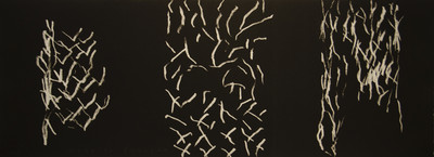 Alberto Corazón | Nocturno IV - Oasis 2