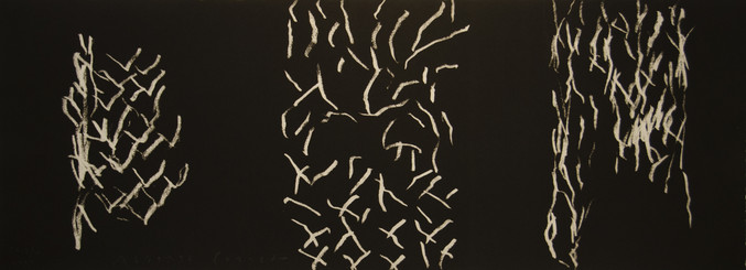 Alberto Corazón | Nocturno IV - Oasis 2