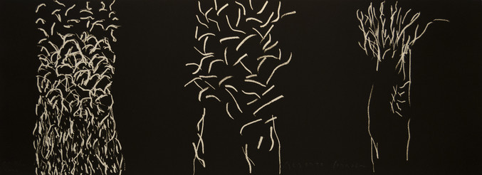 Alberto Corazón | Nocturno IV - Oasis 3