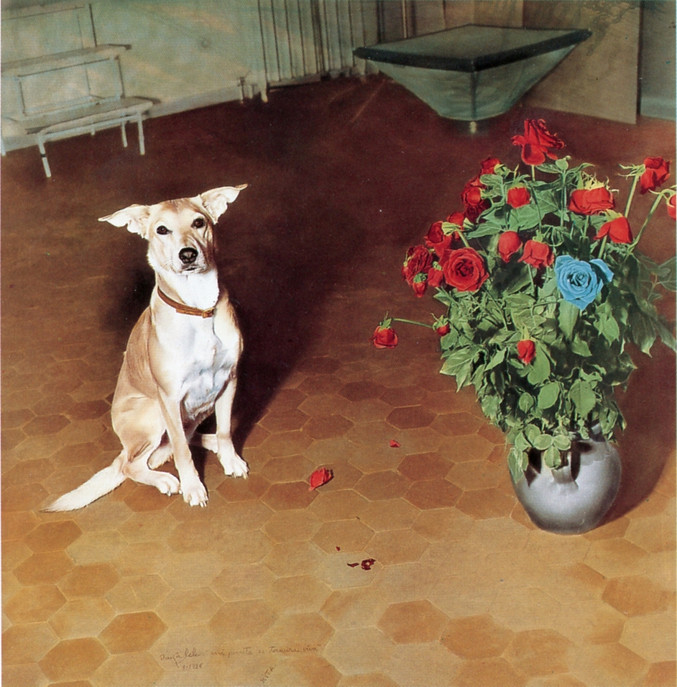 Ouka Leele | Mi perrita es una ternura