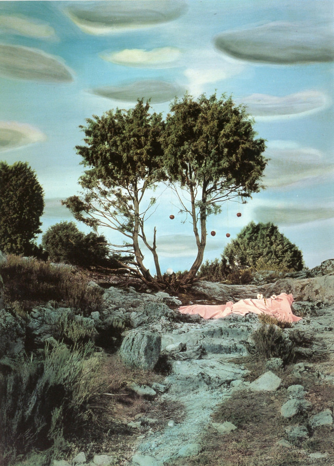 Ouka Leele | Árbol de la esperanza mantente firme