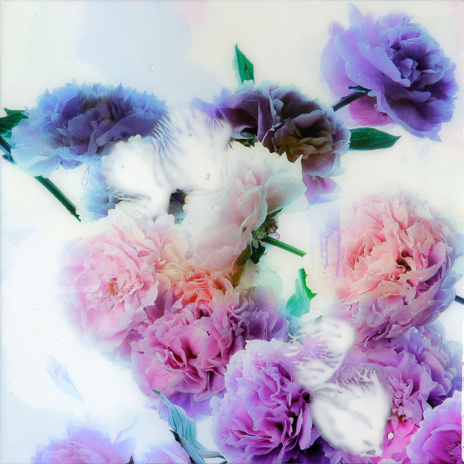 Xurxo Gómez-Chao | Bouquet nº XVII