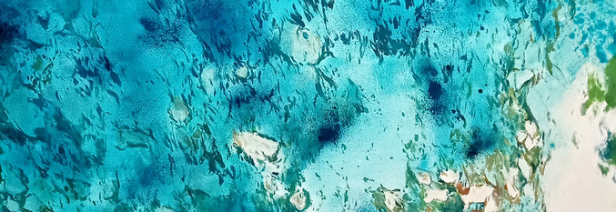 JAVIER BARCO: SOBRE EL MAR