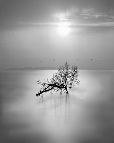 Andy Sotiriou | Water series III