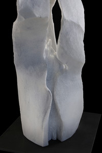 Carlos Andrade | Translúcido III