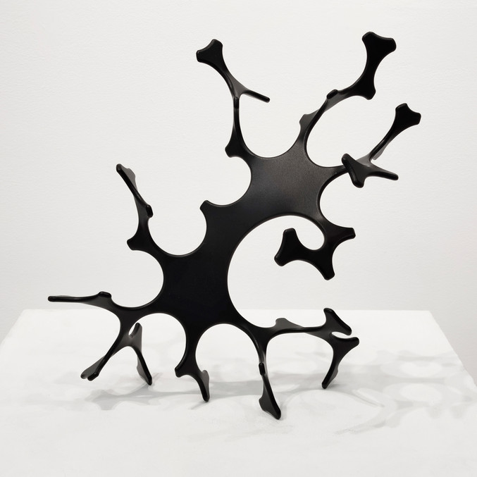 Diego Canogar | Enroscada Recurva III