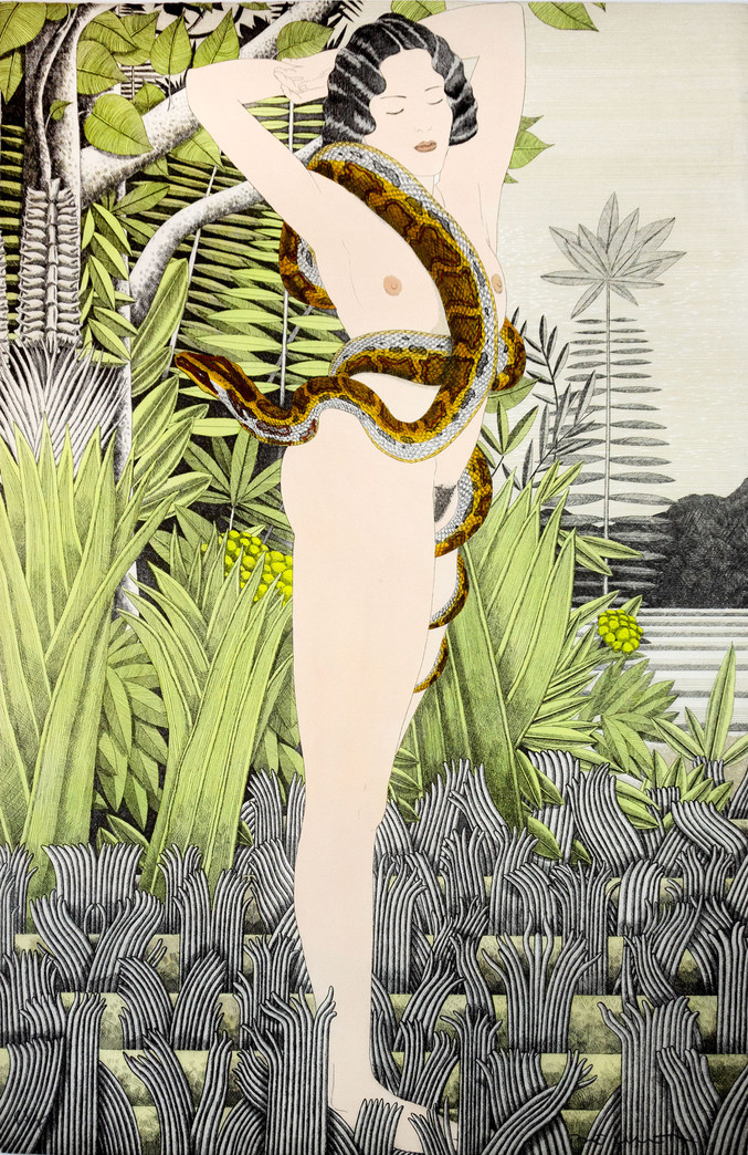 Fernando Bellver | La Salvaje