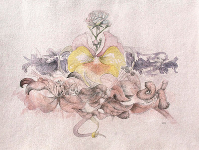 Marta Chirino | Guardo en mi pensamiento el recuerdo de una rosa