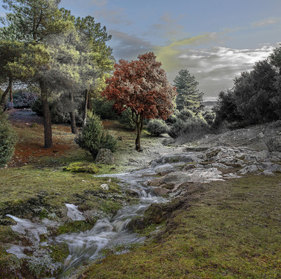 Leticia Felgueroso | El color del río