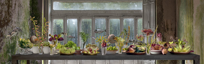 Leticia Felgueroso | El banquete de los peces