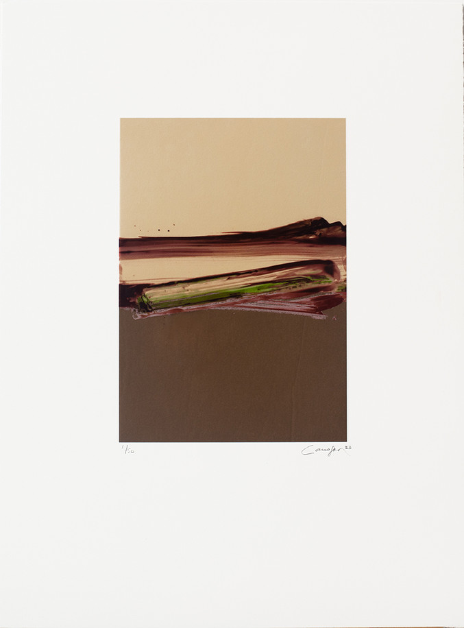 Rafael Canogar | Raíz