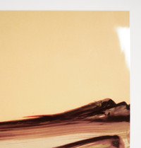 Rafael Canogar | Raíz