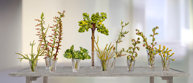 Leticia Felgueroso | Un jardín en una mesa Leticia Felgueroso | Un jardín en una mesa